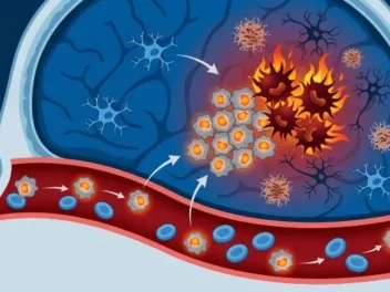 New research found that brain immune cells in Alzheimer’s patients can carry cancer-driving mutations detectable in a routine blood test, and drugs that target those mutations already exist